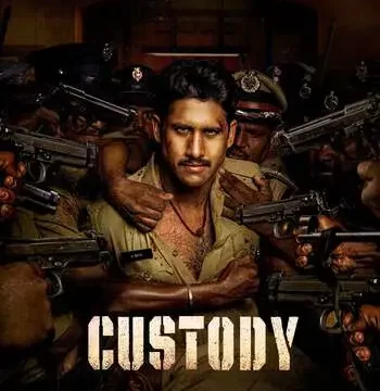 Download Custody (2023) WEB-DL Hindi Full Movie 480p, 720p, 1080p